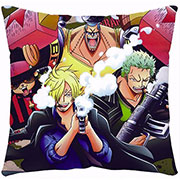 One Piece Pillow Case