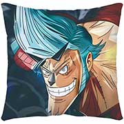 One Piece Pillow Case