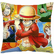 One Piece Pillow Case