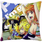 One Piece Pillow Case