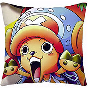 One Piece Pillow Case