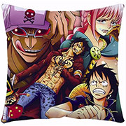 One Piece Pillow Case