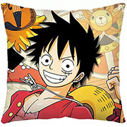 One Piece Pillow Case