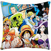 One Piece Pillow Case