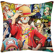 One Piece Pillow Case