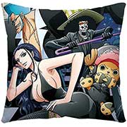 One Piece Pillow Case