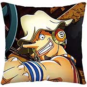 One Piece Pillow Case