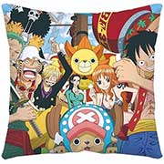 One Piece Pillow Case