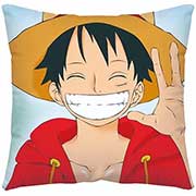 One Piece Pillow Case