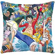 One Piece Pillow Case