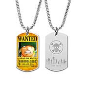 One Piece Titaninum Color Plate Necklace