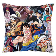 One Piece Pillow Case