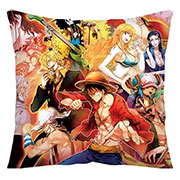 One Piece Pillow Case